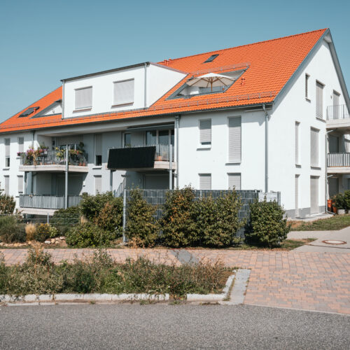  dsc1519