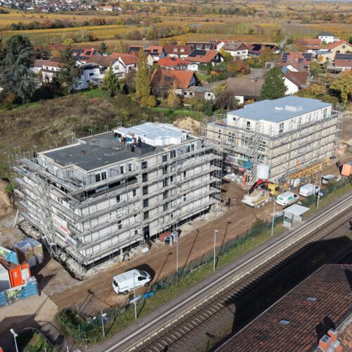 dji 20251104124823 0012 d