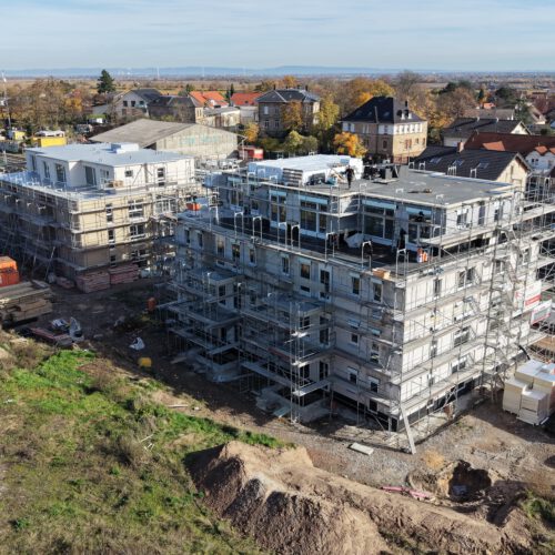 dji 20251104125128 0022 d