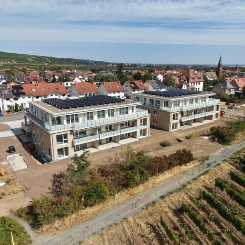 dji 20260824112941 0448 d