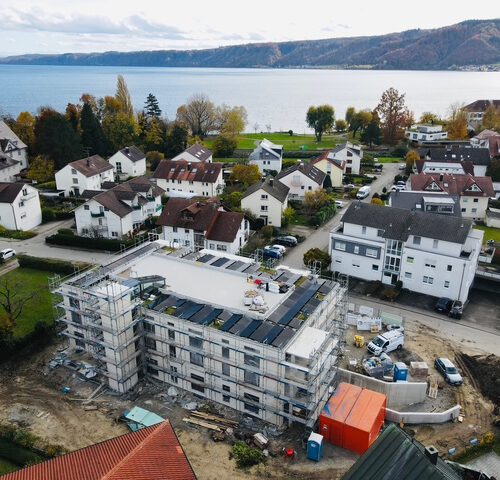 dji fly 20251028 135858 612 1761656351586 photo